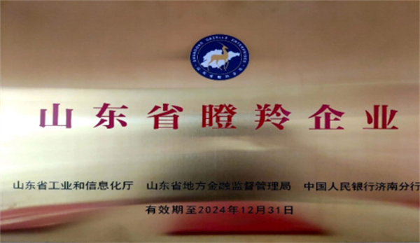 庆祝深蓝机器荣获山东省2021年度“瞪羚企业”荣誉称号